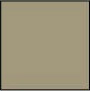 1070 Sandy Buff