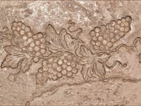 Grapevine Border (Extra Cost) - San Diego Buff and Dessert Tan Grapevine Border (Extra Cost)