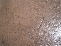 Textured Concrete - Omaha Tan and Dessert Tan/Walnut/Nutmeg Combo Textured Concrete